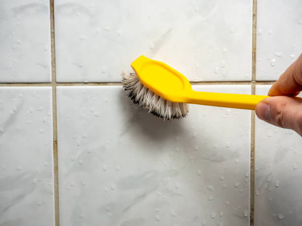 Best Mold Removal Near Me  in Durham, CA